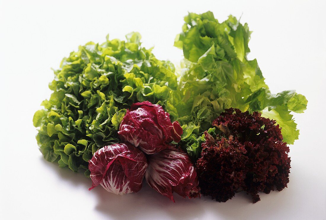 Assorted Types of Lettuce