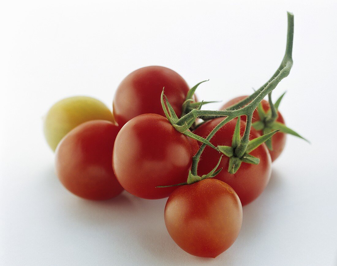 Grape Tomatoes on the Stem