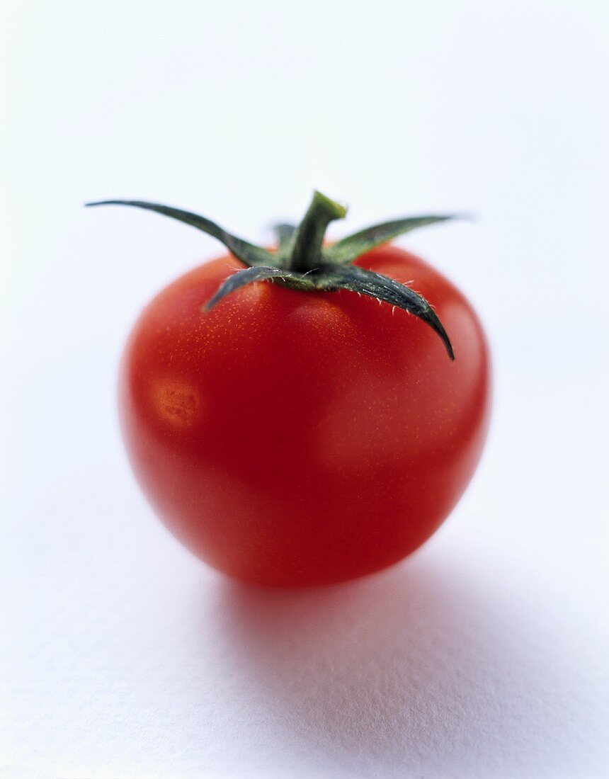 Tomate