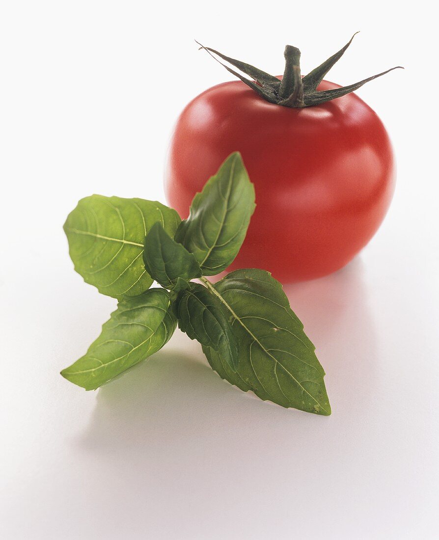 A Tomato with a Sprig of Basil