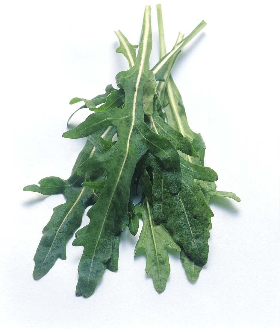 Rucola