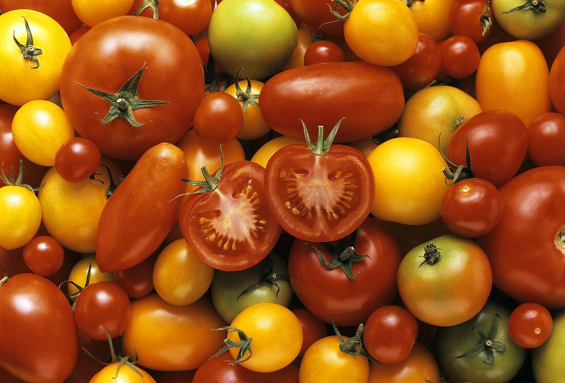 Tomatenstilleben (bildfüllend)