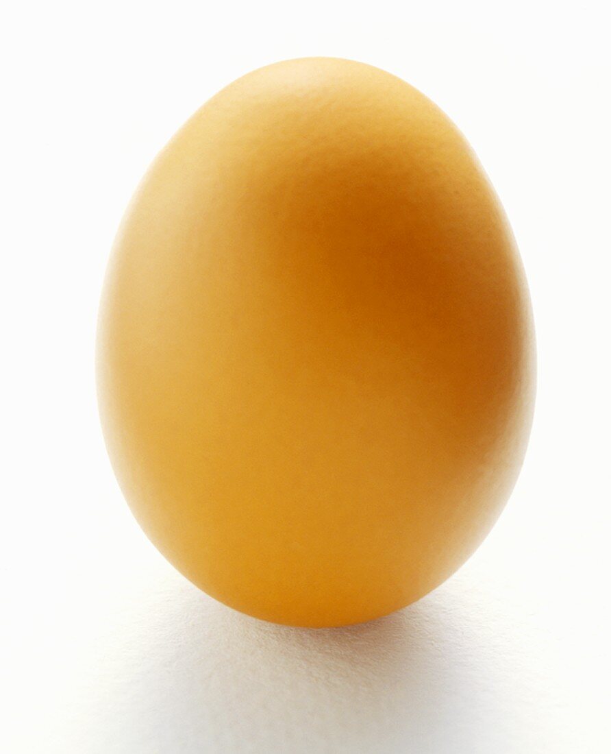 A Brown Egg
