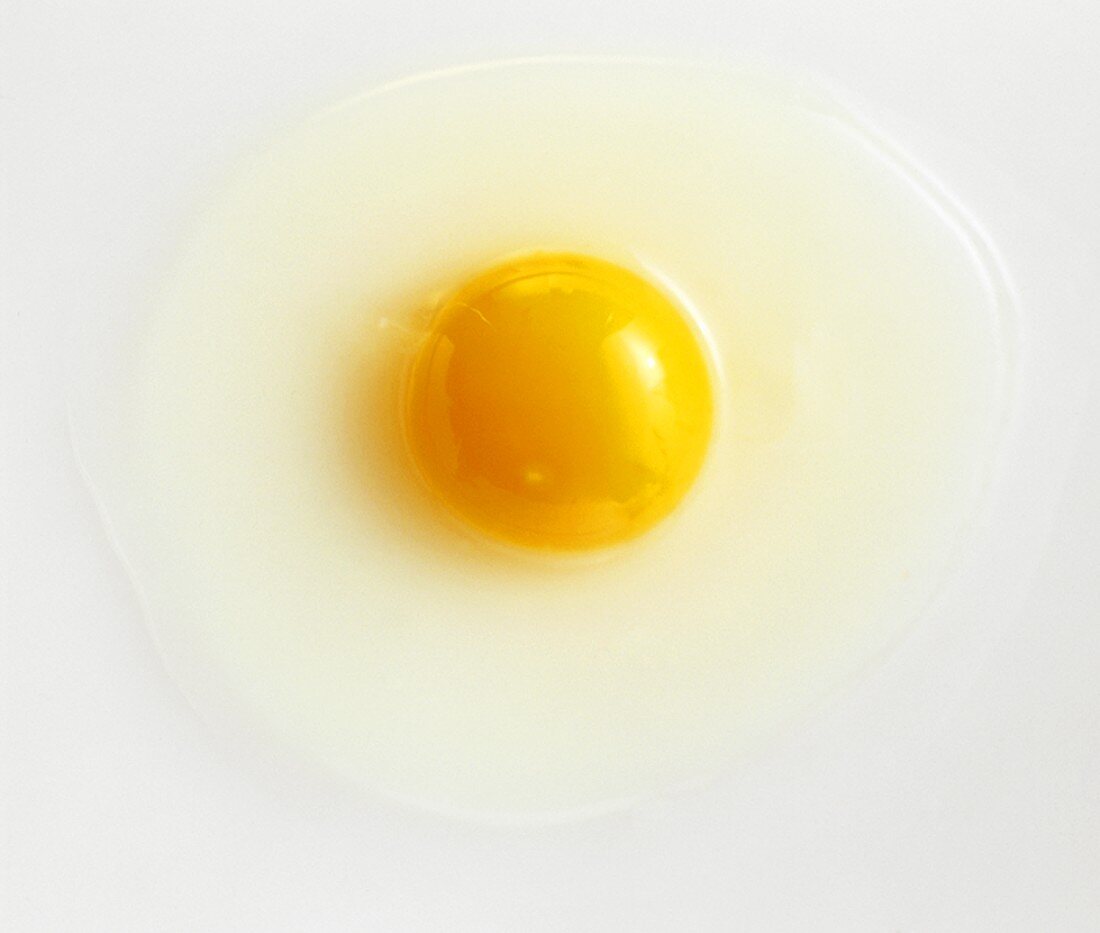 A Raw Egg