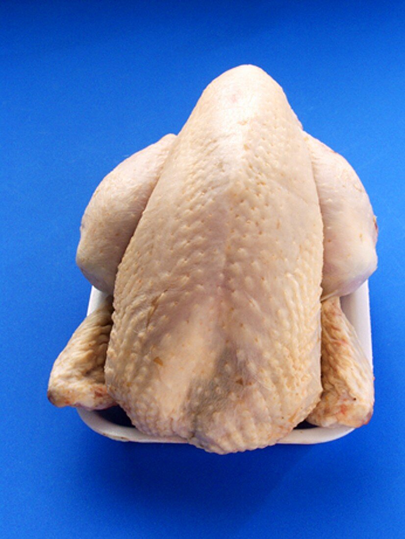 An Uncooked Chicken