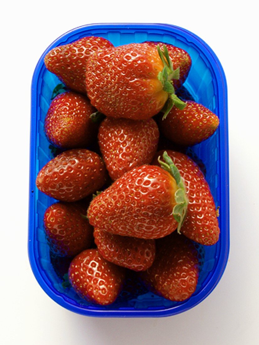 Strawberries in a Blue Plastic Container