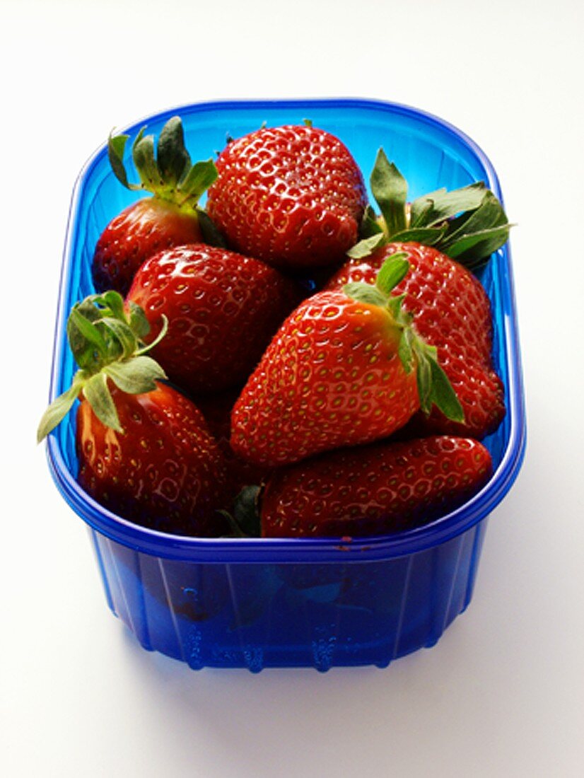 Strawberries in a Blue Plastic Container