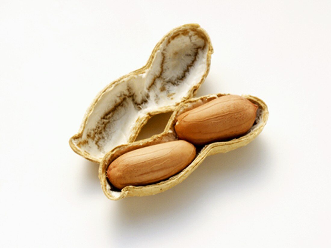 A Peanut with the Shell Opened