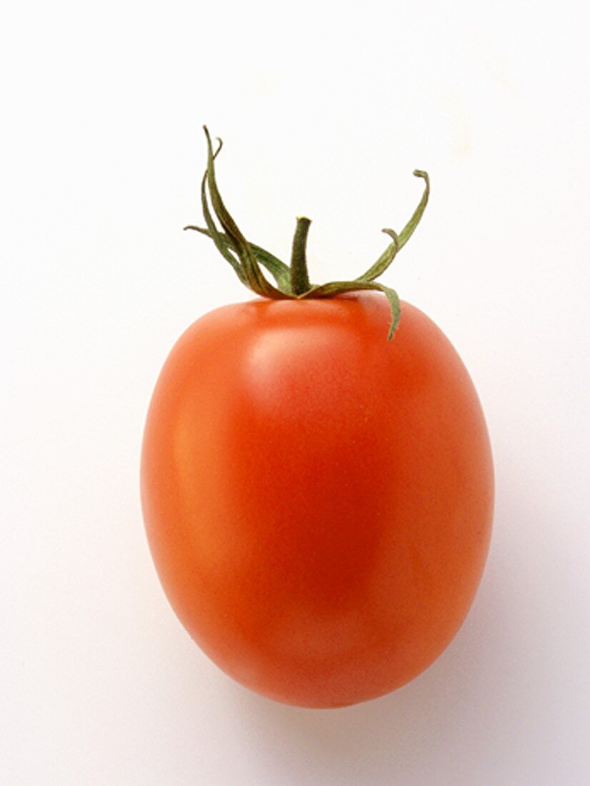 A Plum Tomato
