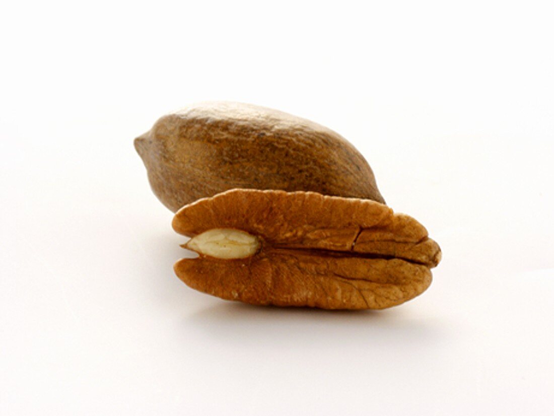 A Shelled Pecan with Whole Pecan