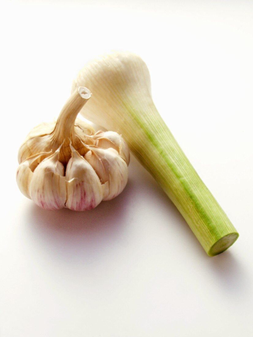 Garlic Bulb and Stalk