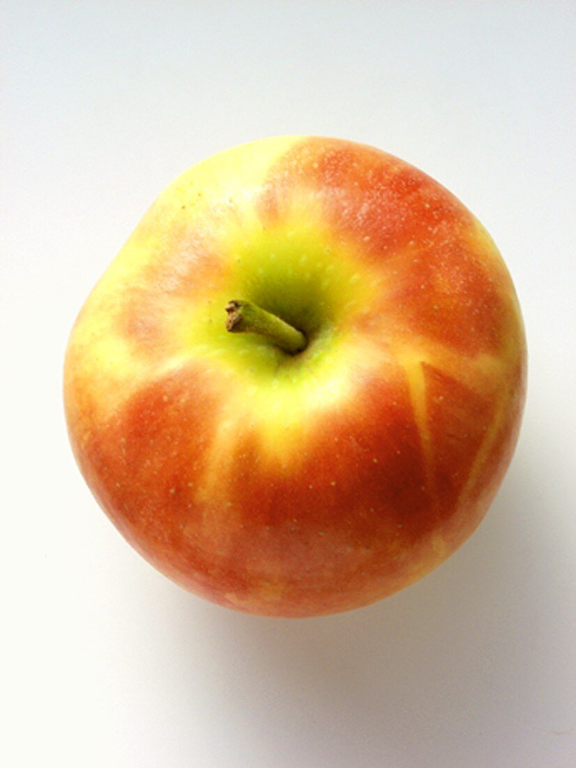 A Cortland Apple