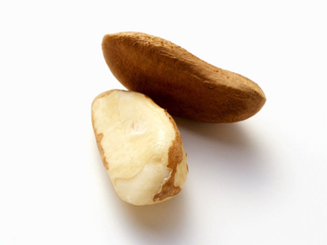 Two Brazil Nuts