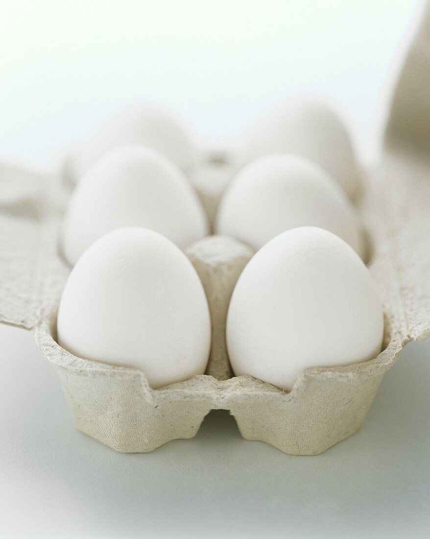 Sechs weiße Eier im Eierkarton
