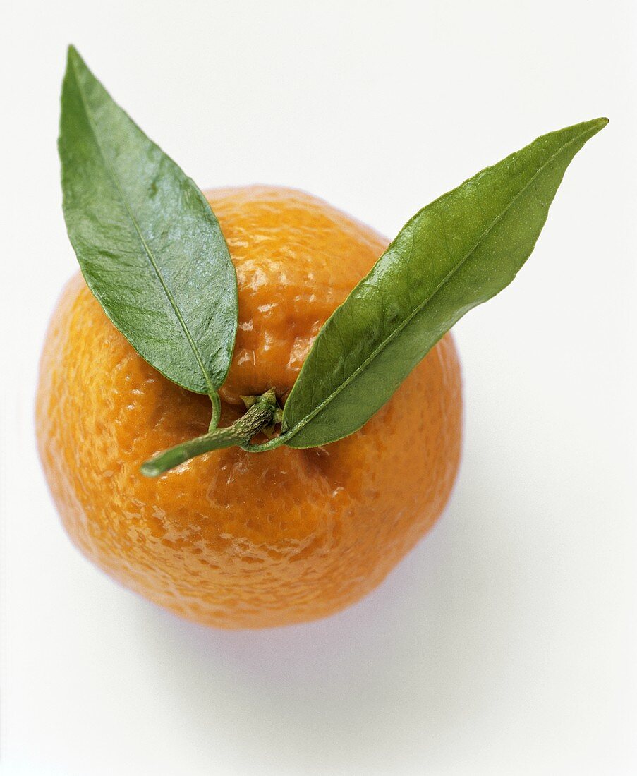 Orange mit Stiel und Blättern