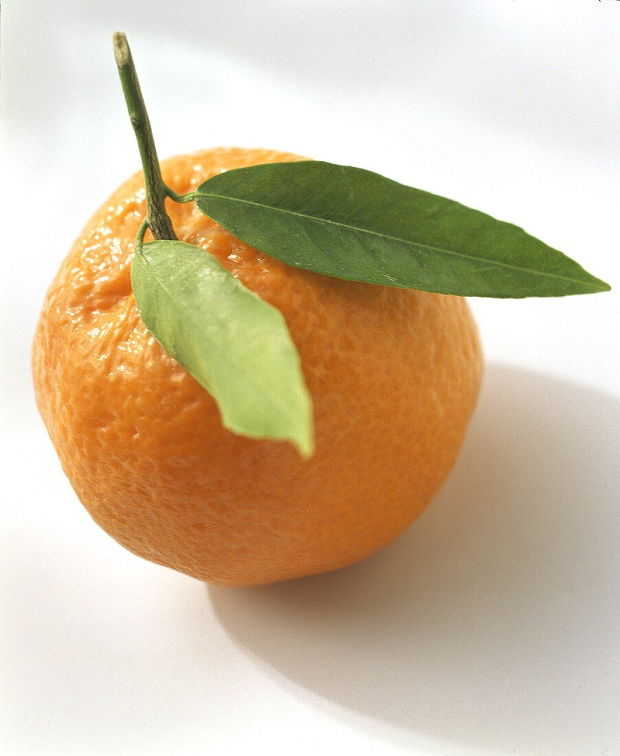 An Orange with Leaves