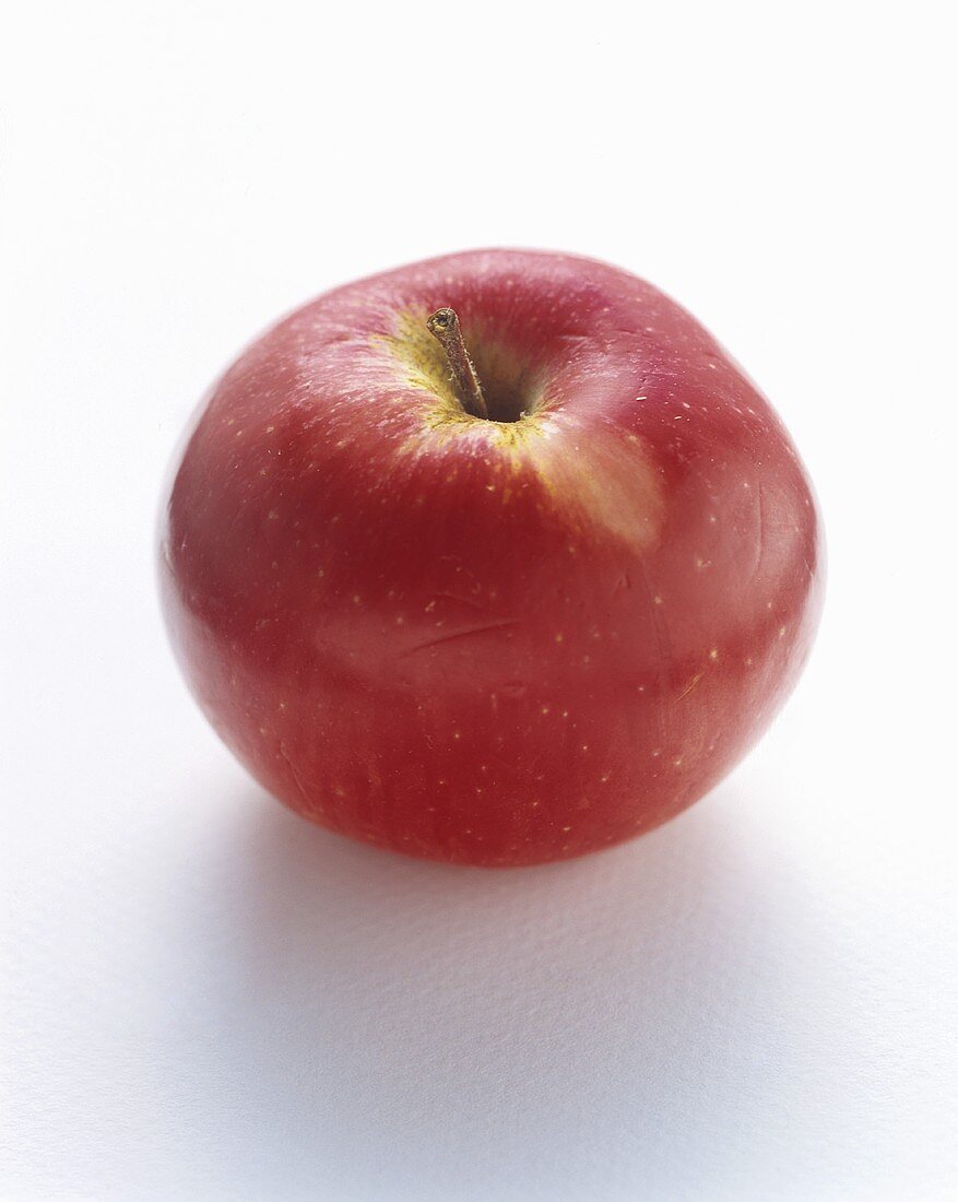 Roter McIntosh Apfel