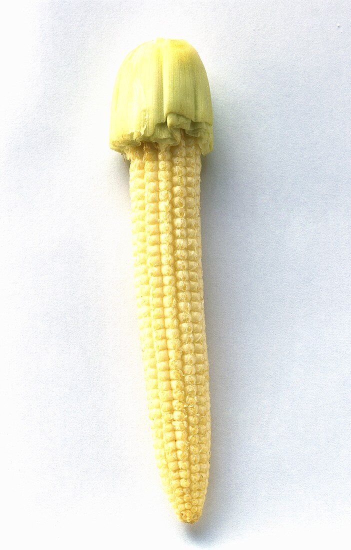 Baby Corn