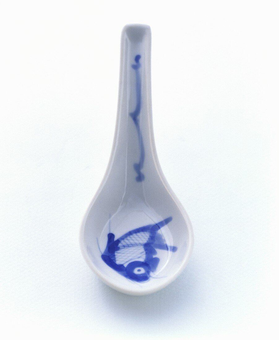 Blue and White Asian Soup Spoon