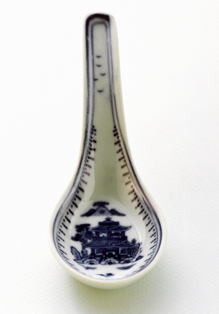 Blue and White Asian Soup Spoon