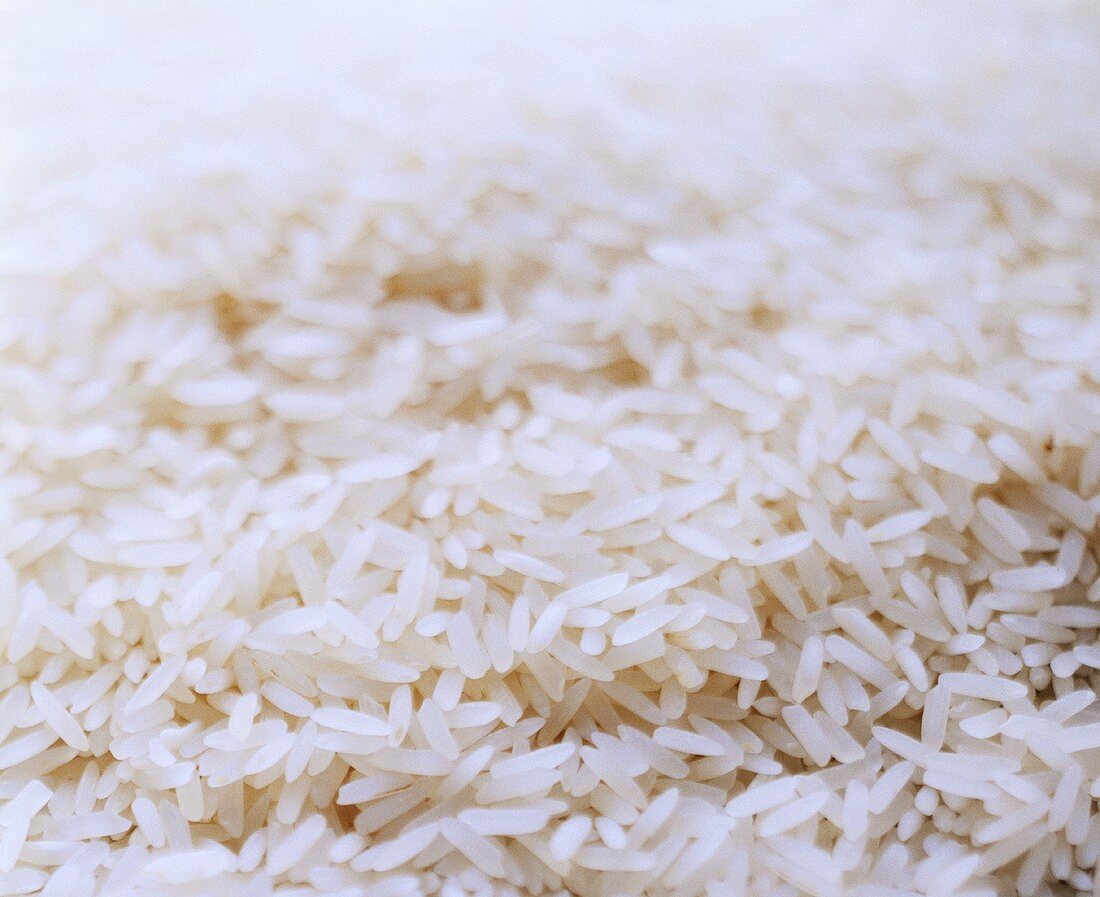 Uncooked Long Grain White Rice