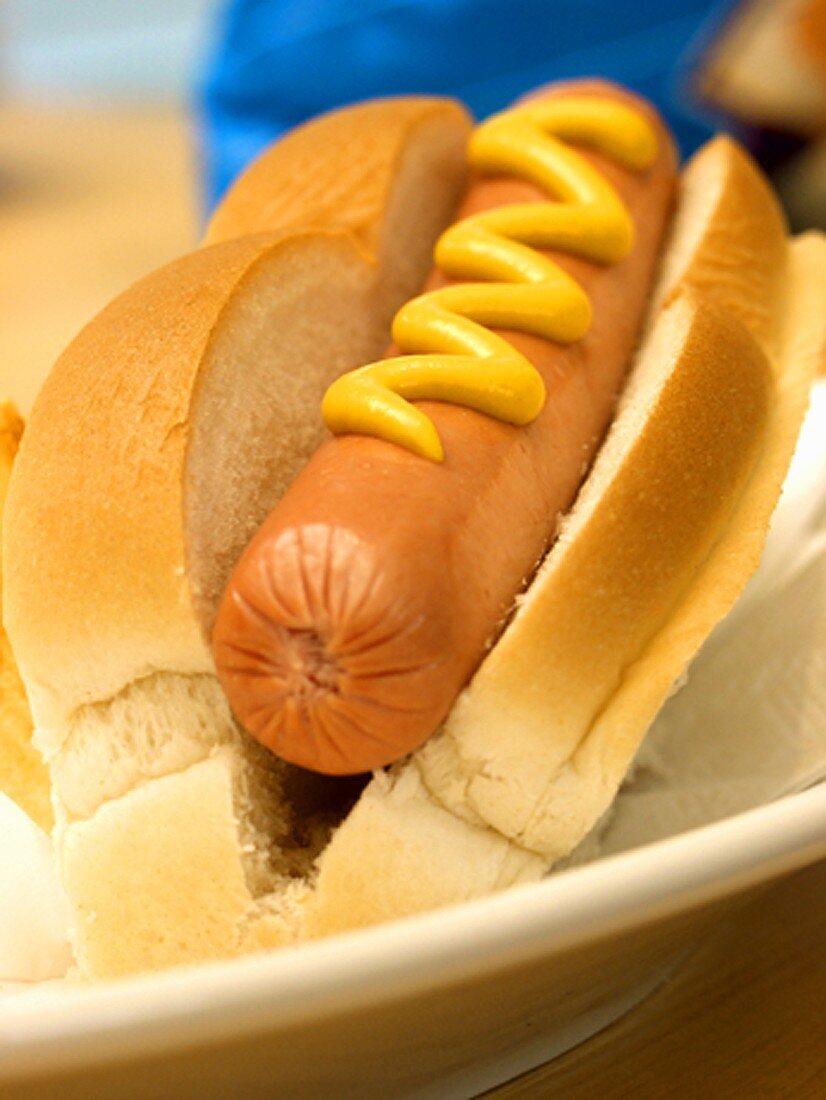 A Hot Dog in a Bun with Mustard on a Plate