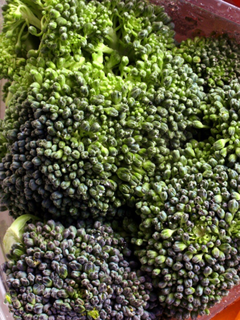 Broccoli Close Up