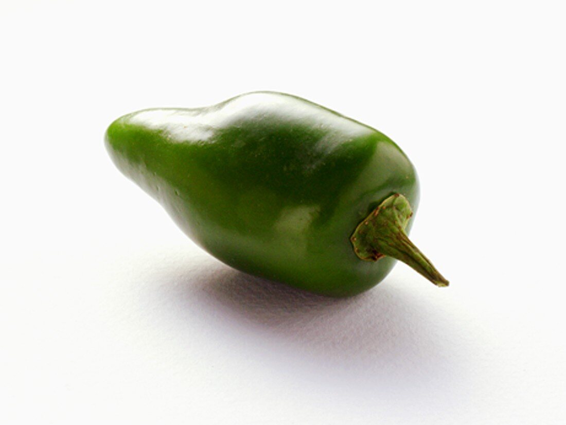 Jalapeno Chilischote