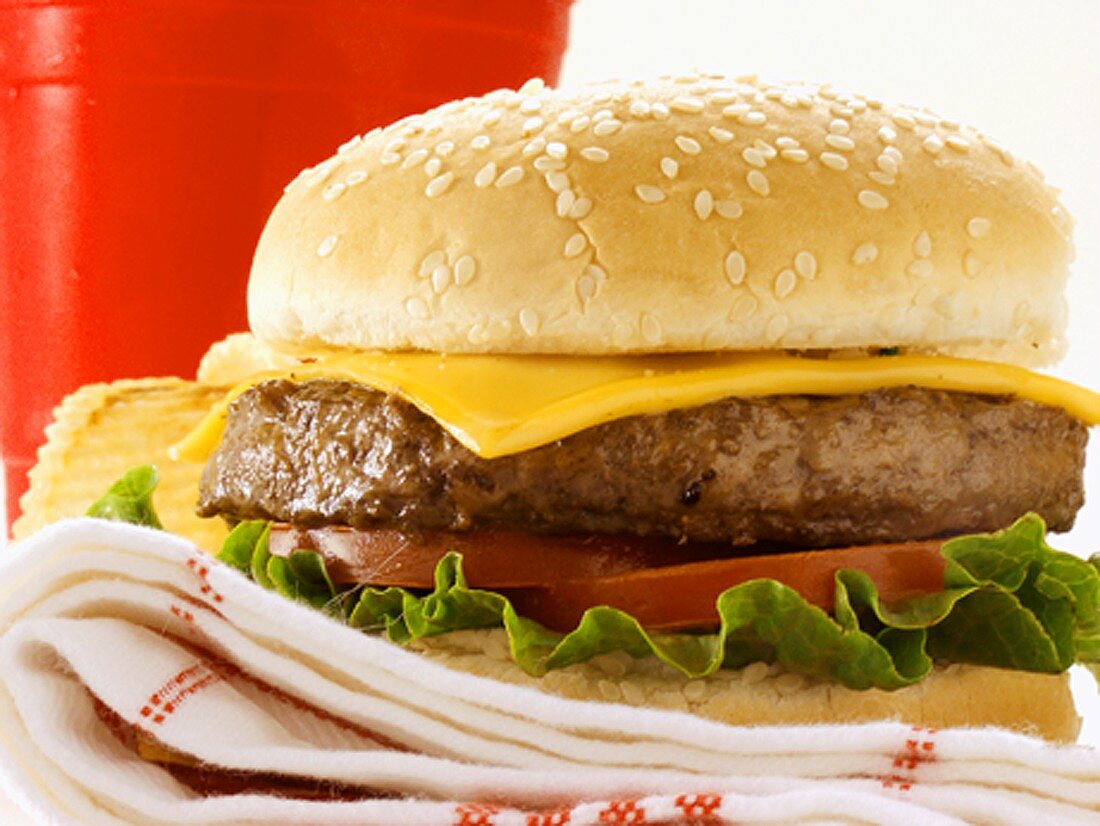 A Cheeseburger on a Dishcloth