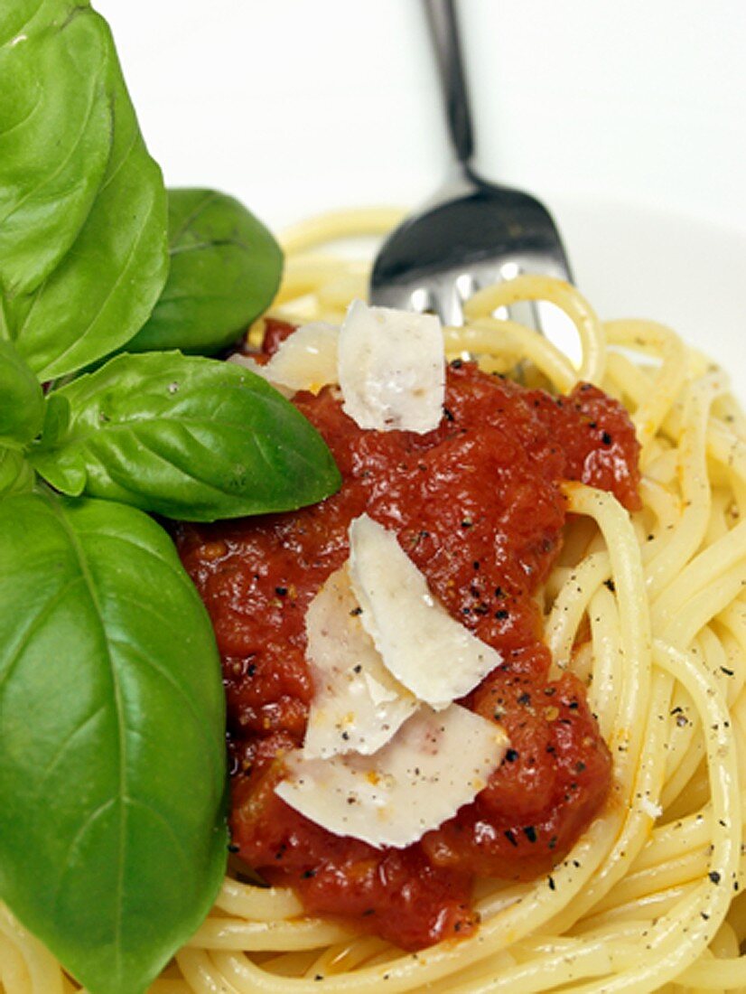 Spaghetti mit Tomatensauce, Basilikum und Parmesan