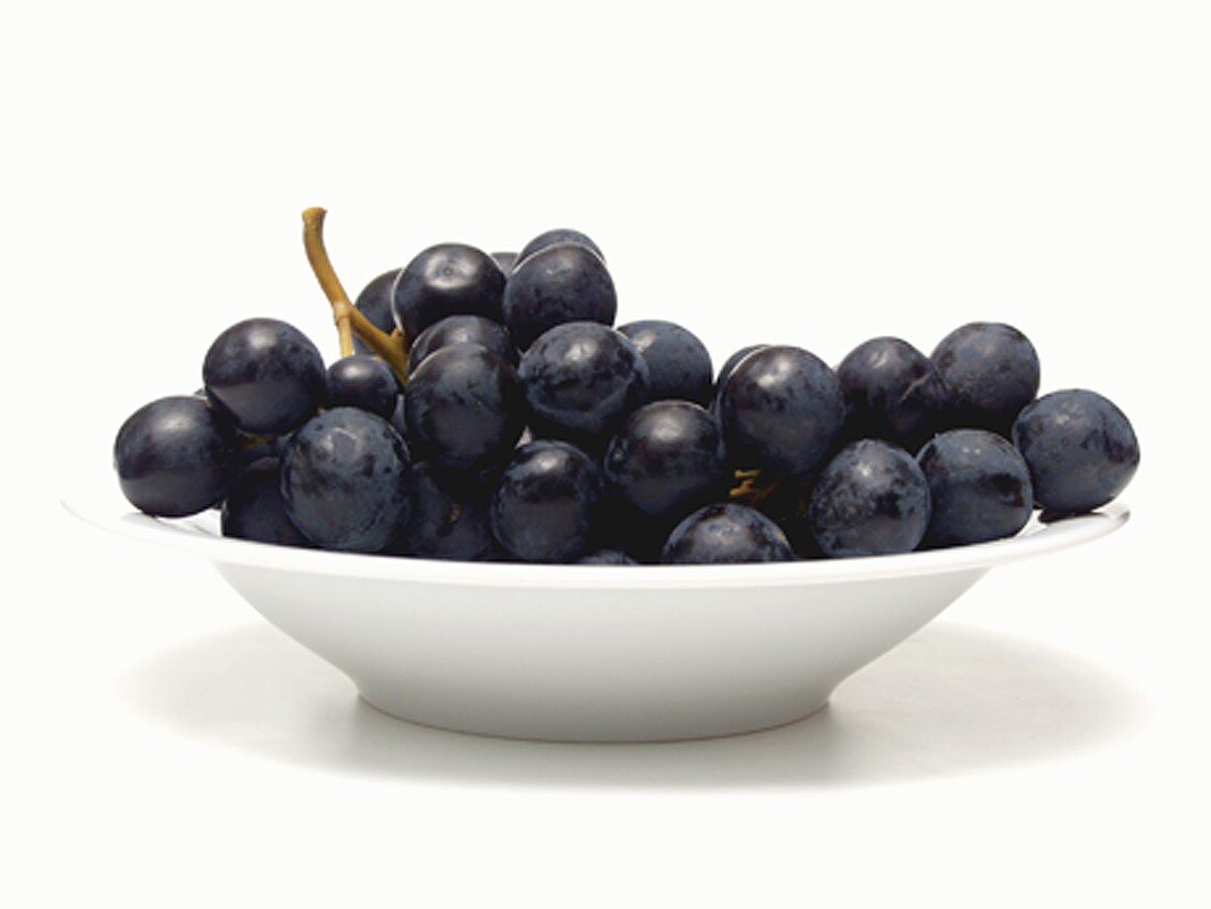 Concord Grapes in a Bowl