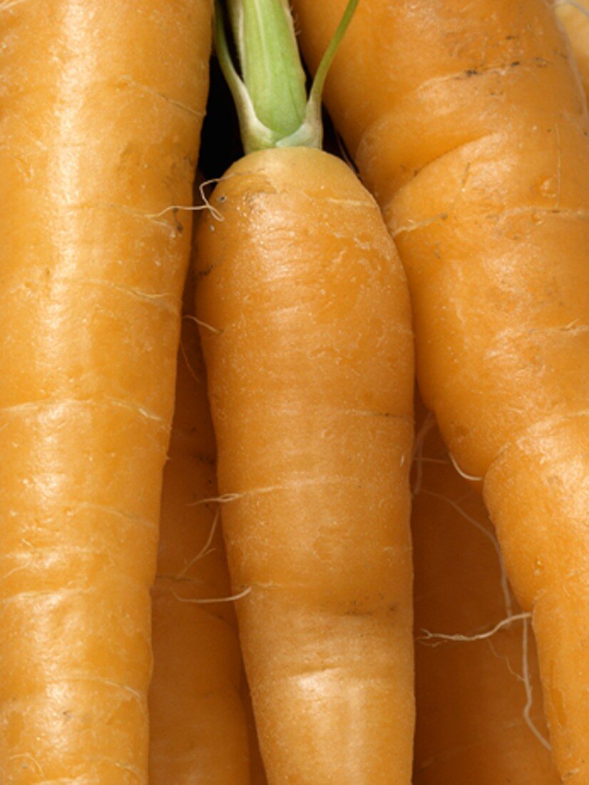 Carrots ( Full Frame )