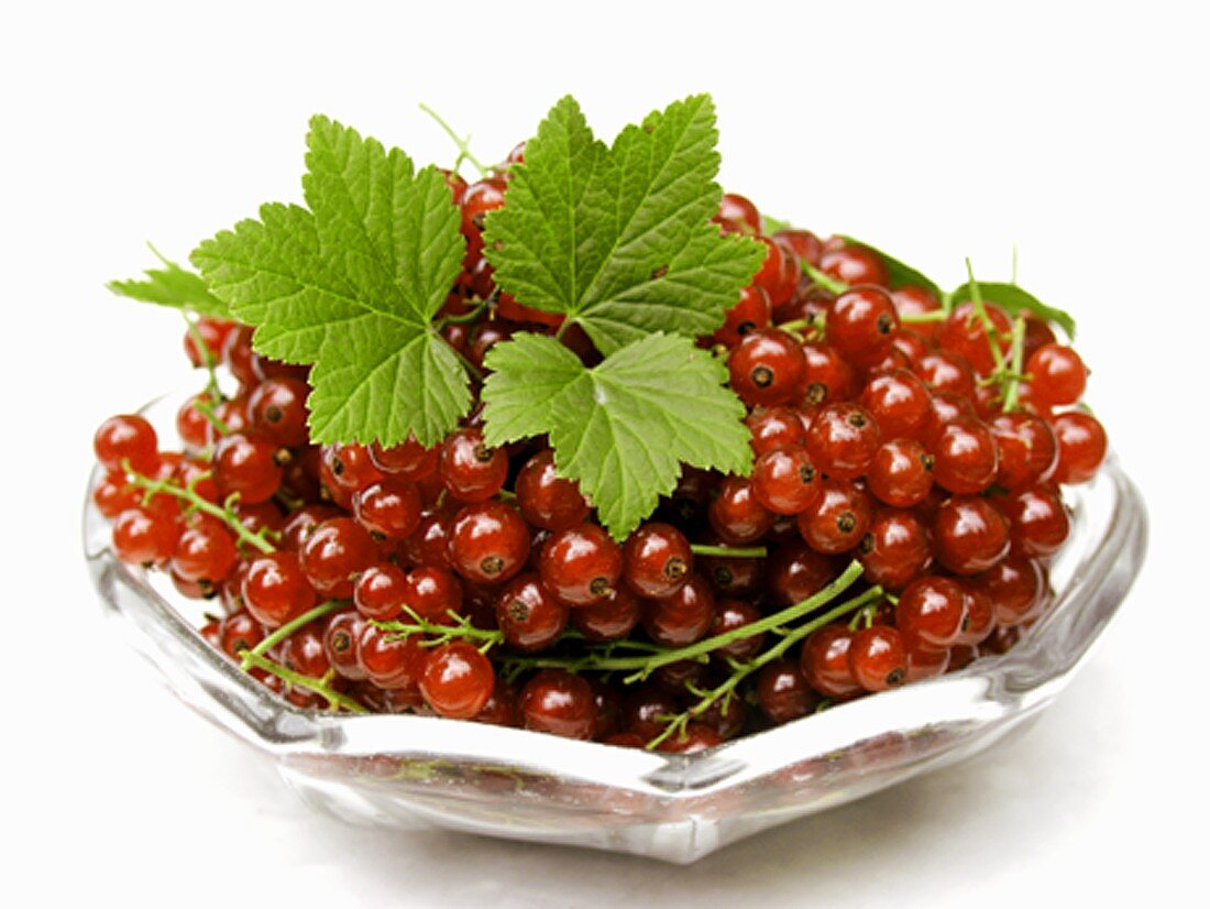 Rote Johannisbeeren mit Blättern in Glasschale