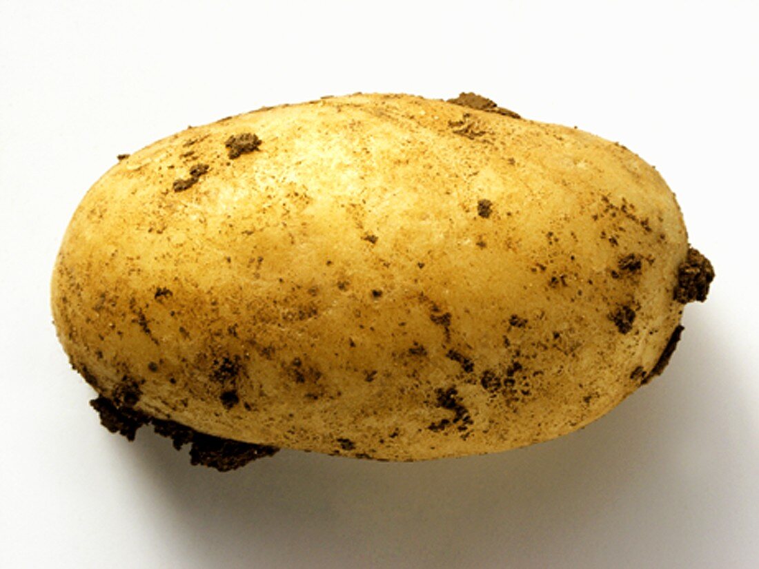 Frischer Kartoffel mit Erde
