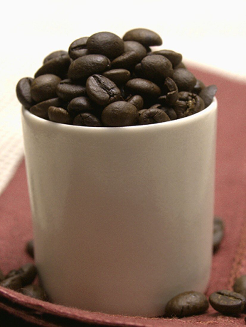 Coffee Beans in a Cup