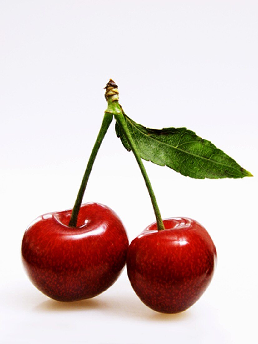 Two Cherries