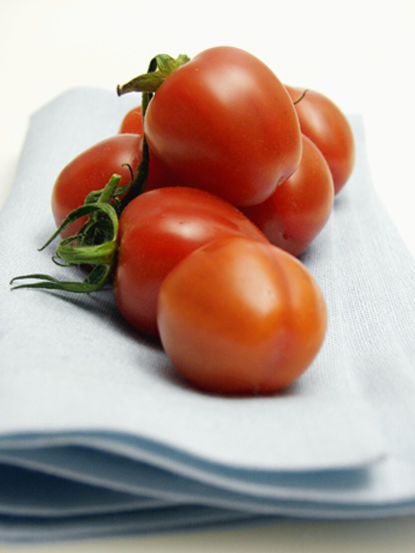 Frische Tomaten auf Tuch