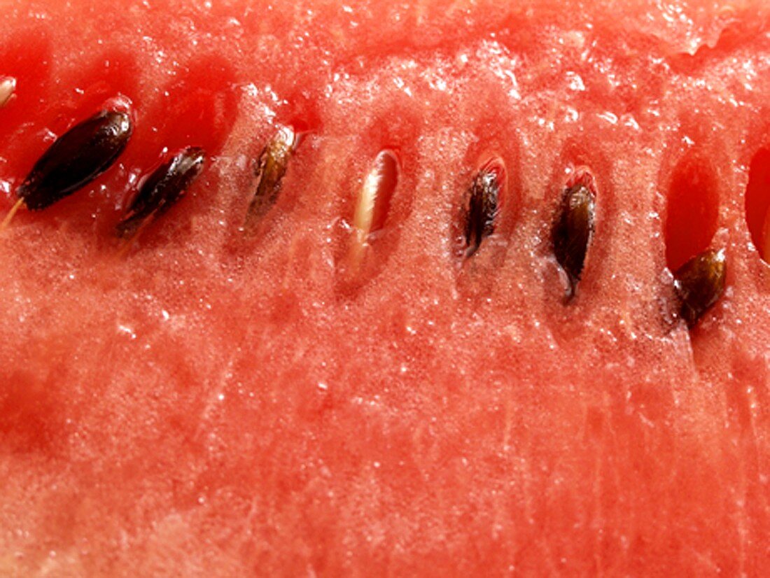 Watermelon ( Close Up )