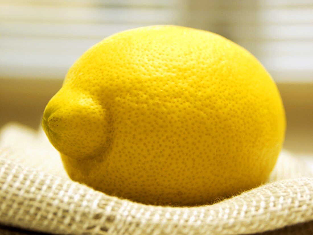 Zitrone auf Tuch