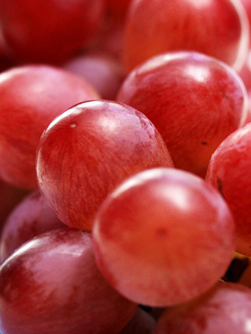 Red Grapes ( Full Frame )