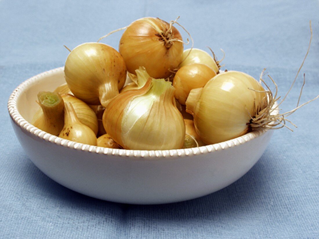 Onions in a Bowl