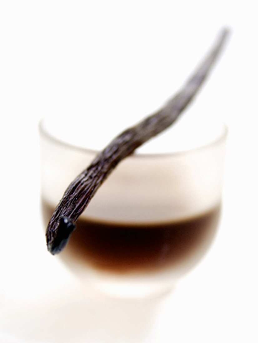 Vanilla Bean with a Dish of Vanilla Extract