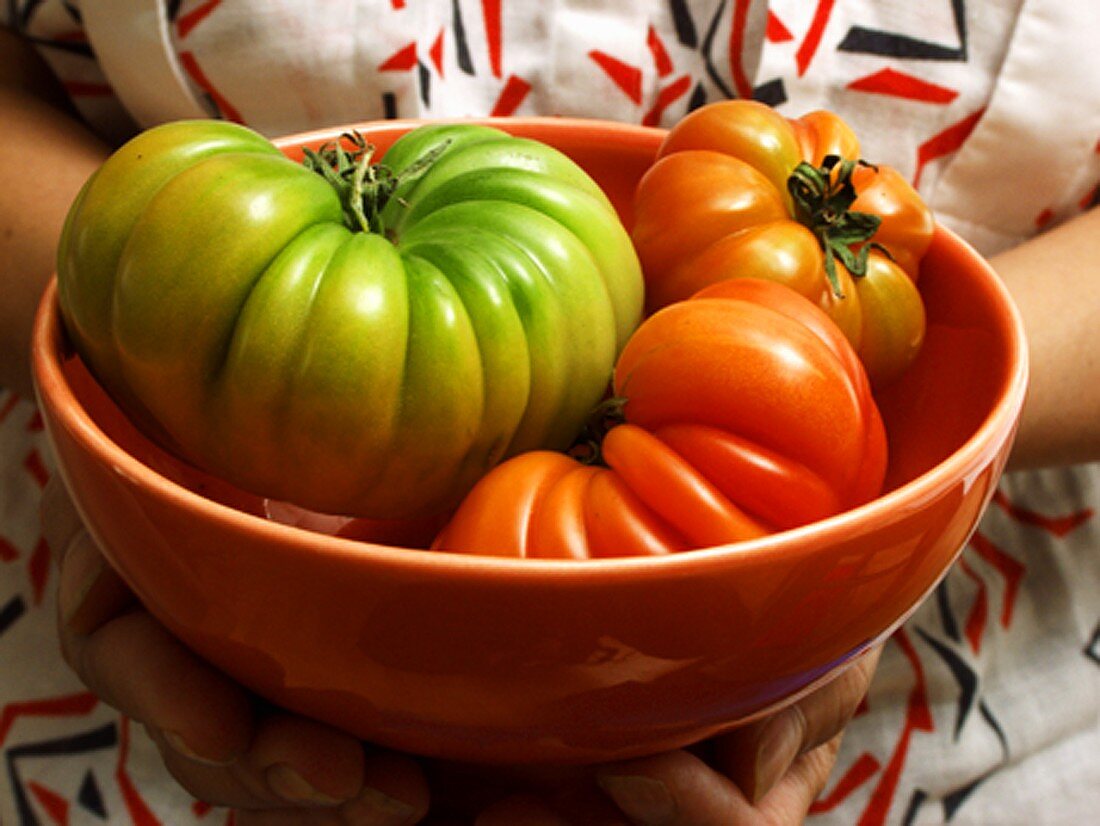 Holding Tomatoes in a Bowl