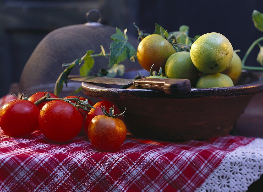 Ripe Red Tomatoes; Green Tomatoes