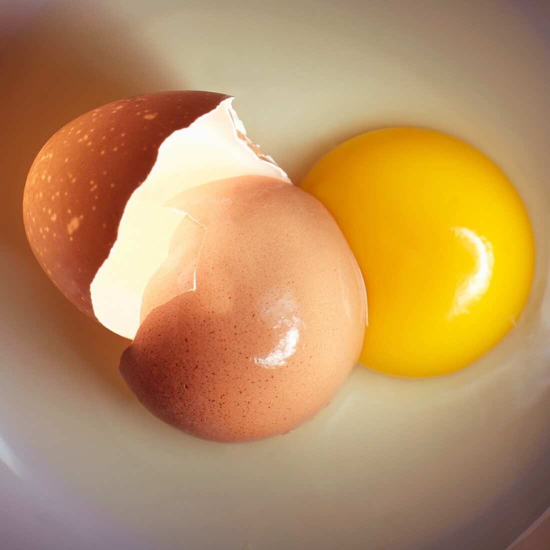 An egg, broken with shell