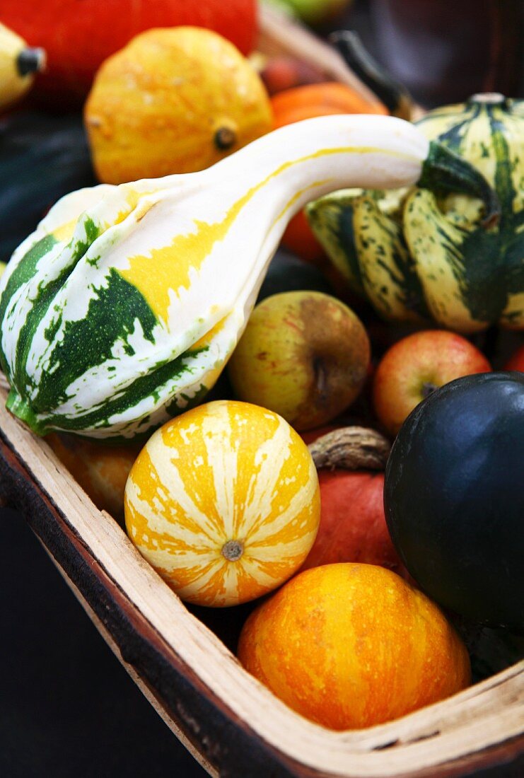 Assorted squashes and apples in a basket