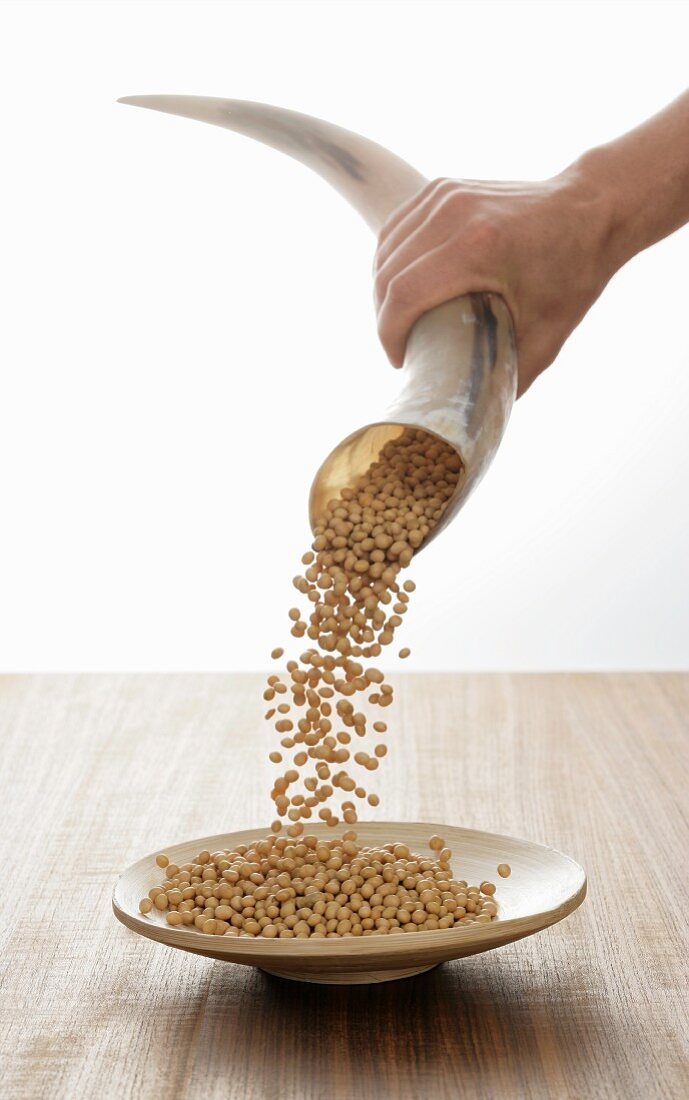 Soya beans pouring out of a horn