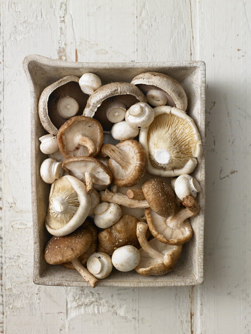 Assorted mushrooms in a rectangular dish