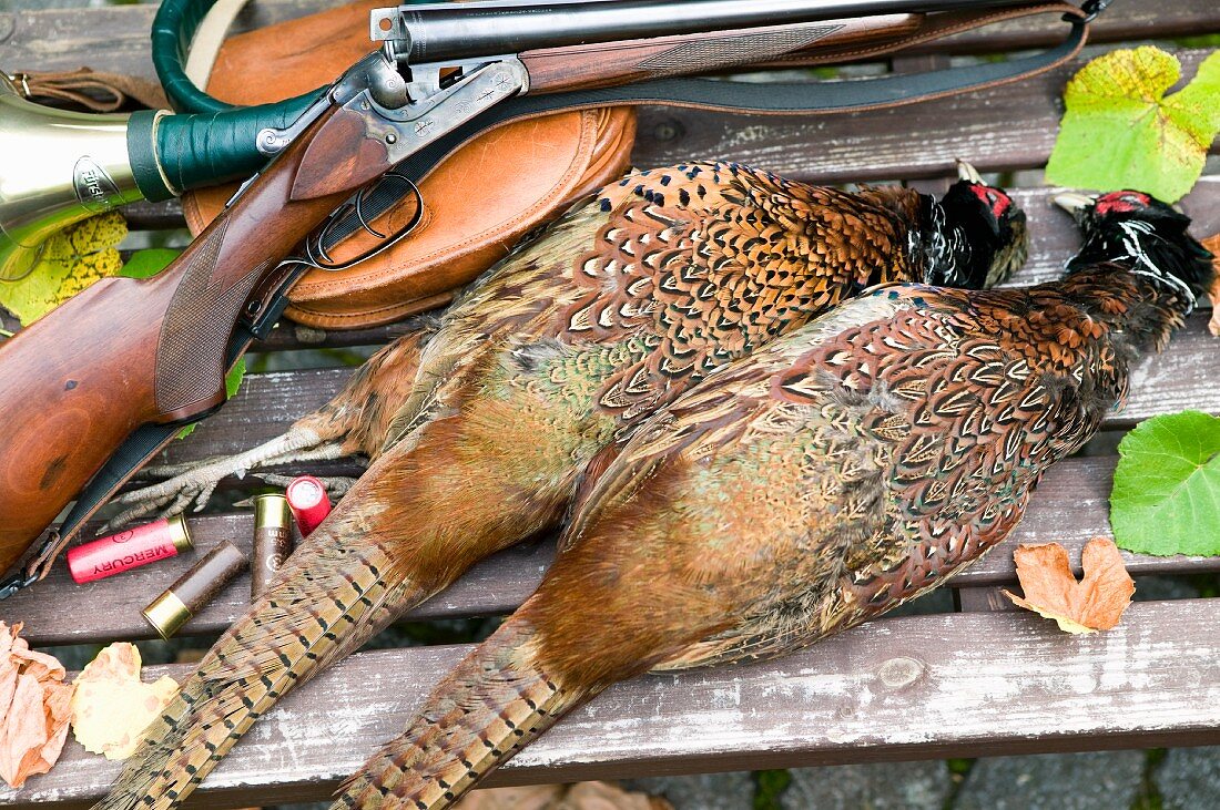 Still life with pheasants and hunting rifle