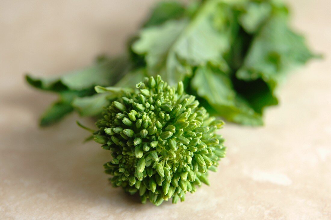 Flower buds of broccoli rabe